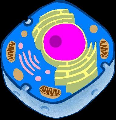 cellpic2.jpg